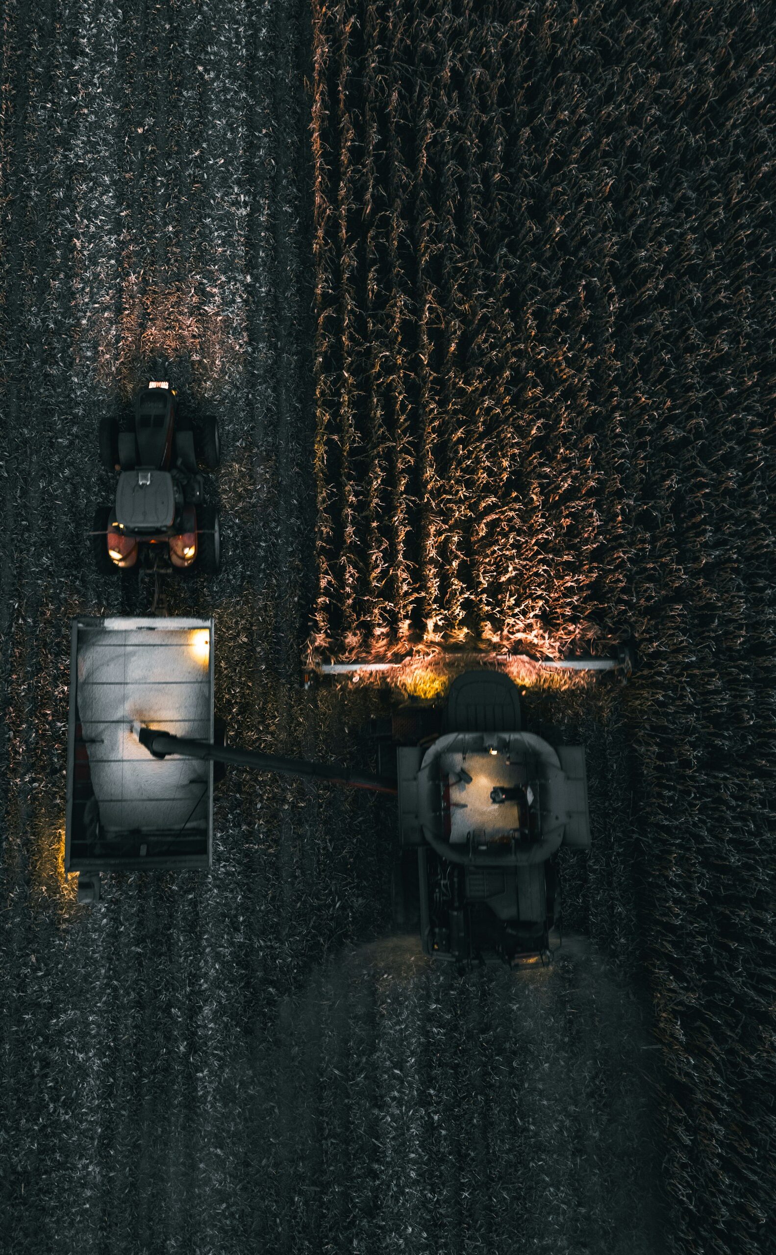 noah-klimpel-wDoDSf-mkik-unsplash